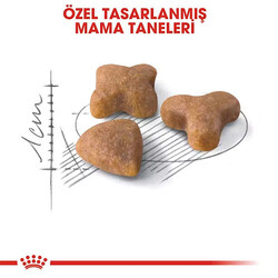 Royal Canin Sensible 33 Hassas Sindirim Sistemi Destekleyici Yetişkin Kedi Maması 10 Kg - Thumbnail