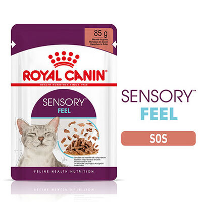 Royal Canin Sensory Feel in Gravy Adult Yetişkin Kedi Konservesi 12 Adet 85 Gr 