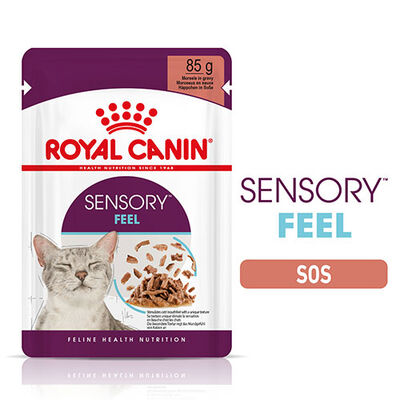 Royal Canin Sensory Feel in Gravy Adult Yetişkin Kedi Konservesi 6 Adet 85 Gr 