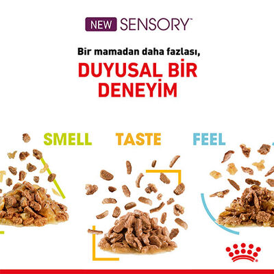 Royal Canin Sensory Feel in Gravy Adult Yetişkin Kedi Konservesi 6 Adet 85 Gr 