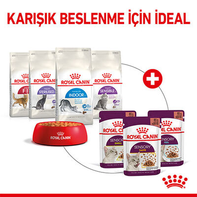 Royal Canin Sensory Smell Gravy Adult Yetişkin Kedi Konservesi 12 Adet 85 Gr 