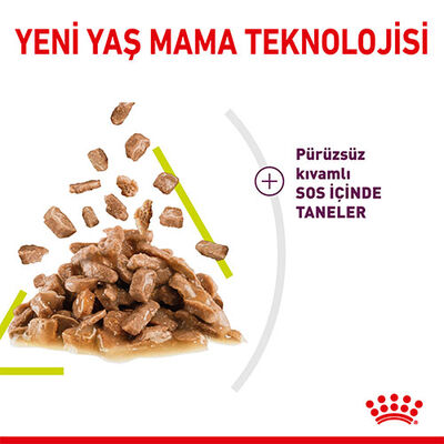 Royal Canin Sensory Smell Gravy Adult Yetişkin Kedi Konservesi 6 Adet 85 Gr 