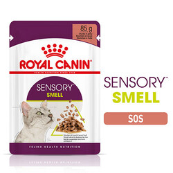 Royal Canin Sensory Smell Gravy Adult Yetişkin Kedi Konservesi 85 Gr - Thumbnail