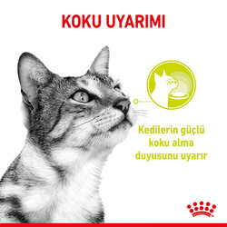 Royal Canin Sensory Smell Gravy Adult Yetişkin Kedi Konservesi 85 Gr - Thumbnail
