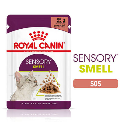 Royal Canin Sensory Smell Gravy Adult Yetişkin Kedi Konservesi 85 Gr 