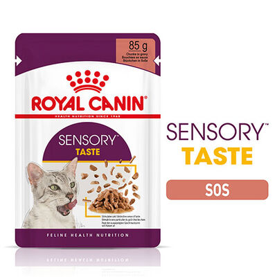 Royal Canin Sensory Taste Gravy Adult Yetişkin Kedi Konservesi 12 Adet 85 Gr 