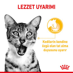 Royal Canin Sensory Taste Gravy Adult Yetişkin Kedi Konservesi 85 Gr - Thumbnail