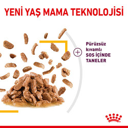 Royal Canin Sensory Taste Gravy Adult Yetişkin Kedi Konservesi 85 Gr - Thumbnail
