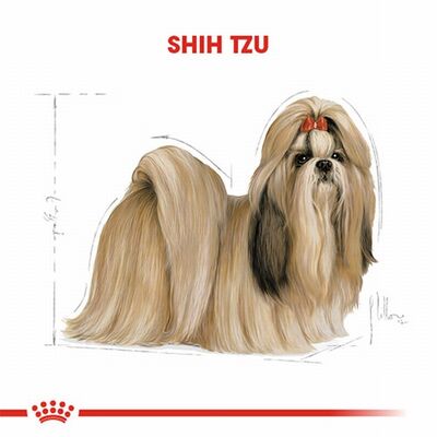 Royal Canin Shih Tzu Adult Yetişkin Köpek Maması 1,5 Kg 