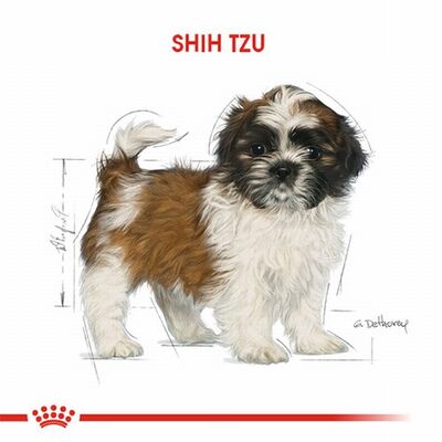 Royal Canin Shih Tzu Puppy Yavru Köpek Maması 1,5 Kg 