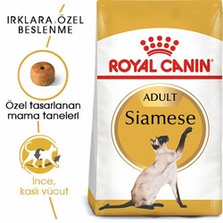 Royal Canin Siamese Adult Siyam Yetişkin Kedi Maması 2 Kg - Thumbnail