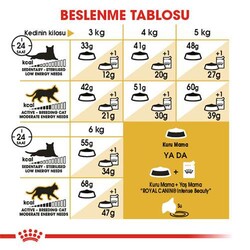 Royal Canin Siamese Adult Siyam Yetişkin Kedi Maması - Thumbnail