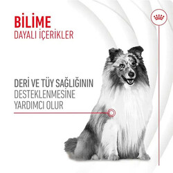 Royal Canin Skin Coat Chews Deri ve Tüy Sağlığını Destekleyen Yetişkin Köpek Ödül Maması 240 Gr - Thumbnail