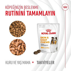 Royal Canin Skin Coat Chews Deri ve Tüy Sağlığını Destekleyen Yetişkin Köpek Ödül Maması 240 Gr - Thumbnail