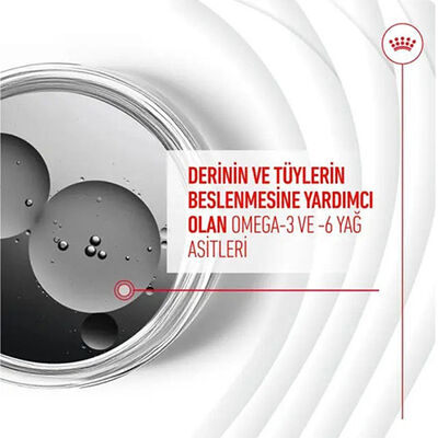 Royal Canin Skin Coat Chews Deri ve Tüy Sağlığını Destekleyen Yetişkin Köpek Ödül Maması 240 Gr 