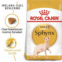Royal Canin Sphynx Adult Yetişkin Kedi Maması 2 Kg - Thumbnail