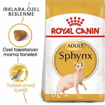 Royal Canin Sphynx Adult Yetişkin Kedi Maması 2 Kg 