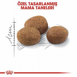 Royal Canin Sterilised 7+ Kısırlaştırılmış Yaşlı Kedi Maması 3,5 Kg - Thumbnail