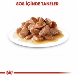 Royal Canin Sterilised Gravy Pouch Kısırlaştırılmış Kedi Konservesi 6 Adet 85 Gr - Thumbnail