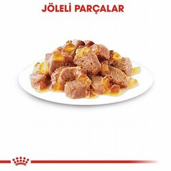 Royal Canin Sterilised Jelly Pouch Kısırlaştırılmış Kedi Konservesi 12 Adet 85 Gr - Thumbnail
