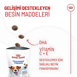 Royal Canin Training Treats Eğitim İçin Köpek Ödül Maması 110 Gr - Thumbnail
