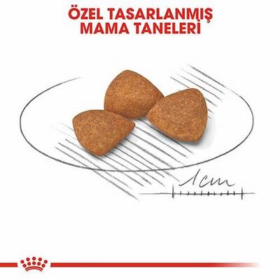 Royal Canin X Small Ageing 12+ Küçük Irk Yaşlı Köpek Maması 1,5 Kg 