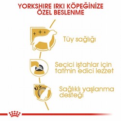 Royal Canin Yorkshire Terrier Adult Yetişkin Köpek Maması 1,5 Kg - Thumbnail