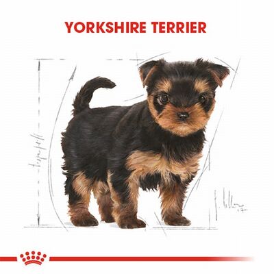 Royal Canin Yorkshire Terrier Puppy Yavru Köpek Maması 1,5 Kg 