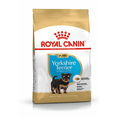 Royal Canın Yorkshire Terrier Puppy Yavru Köpek Maması