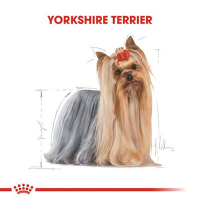 Royal Canin Yorkshire Terrier Adult Yetişkin Köpek Konservesi 12 Adet 85 Gr 