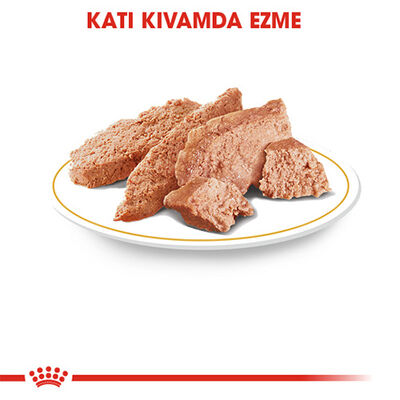 Royal Canin Yorkshire Terrier Adult Yetişkin Köpek Konservesi 12 Adet 85 Gr 