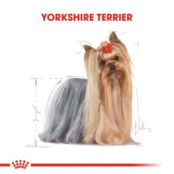 Royal Canin Yorkshire Terrier Adult Yetişkin Köpek Konservesi 12 Adet 85 Gr - Thumbnail