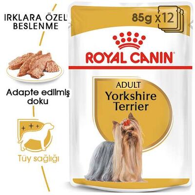 Royal Canin Yorkshire Terrier Adult Yetişkin Köpek Konservesi 6 Adet 85 Gr 