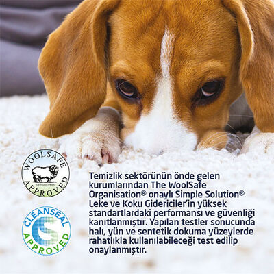 Simple Solution Bahar Kokulu Kedi ve Köpek Koku Giderici Halı Pudrası 500 Gr 