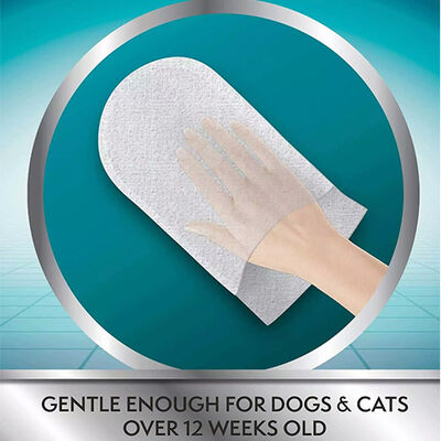 Simple Solution Kedi ve Köpek Islak Temizleme Eldiveni 