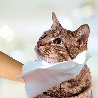 Simple Solution Kedi ve Köpek Islak Temizleme Eldiveni 