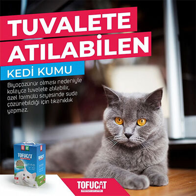 TofuCat Tuvalete Atılabilen Koku Hapsedeci Topaklanan Doğal Kedi Kumu 2 Adet 8 Lt 