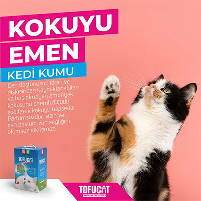TofuCat Tuvalete Atılabilen Koku Hapsedeci Topaklanan Doğal Kedi Kumu 4 Adet 8 Lt 