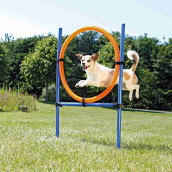 Trixie - Trixie Agility Köpek Eğitim Çemberi 115x65x3 Cm