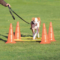 Trixie - Trixie Agility Köpek Eğitim Oyuncağı 2'li 30x50x100 Cm