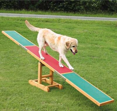 Trixie Agility Köpek Eğitim Tahterevalli 300x54x34 Cm
