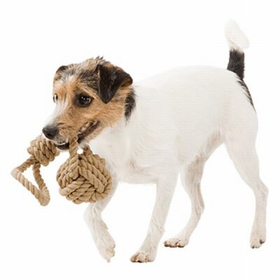 Trixie At Getir ve Tut Çek Halat Köpek Oyuncağı 8-30 Cm 