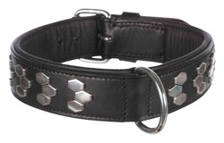 Trixie - Trixie Deri Köpek Boyun Tasması 38-45 Cm 40 Mm Medium Siyah
