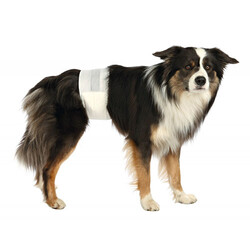 Trixie Erkek Köpek Pedi 12'li 60-80 Cm L-XL - Thumbnail