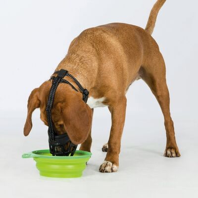 Trixie Esnek Silikon Köpek Ağızlığı L-Xl
