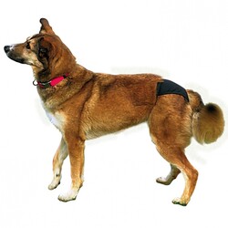 Trixie Hijyenik Köpek Külodu Siyah 40-49 Cm Medium - Thumbnail