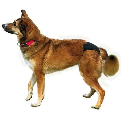 Trixie Hijyenik Köpek Külodu Siyah 40-49 Cm Medium