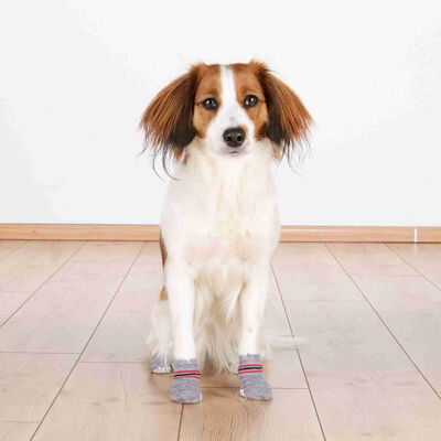 Trixie Kaymaz Tabanlı Köpek Çorabı 2 Adet Gri XL