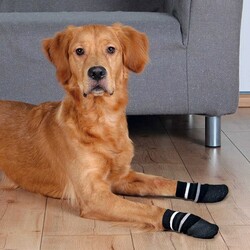 Trixie - Trixie Kaymaz Tabanlı Köpek Çorabı 2 Adet M-L 