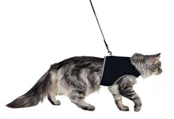 Trixie - Trixie Kedi Göğüs Tasma Seti Xl 36-54 Cm 120 Cm